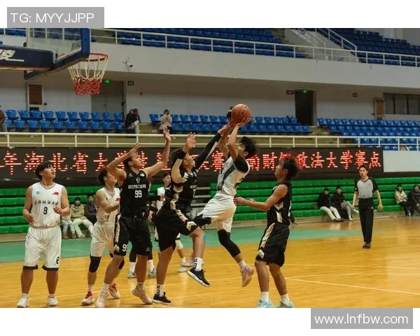 武汉篮球队篮球意识排行榜第九名展现团队实力与战术智慧